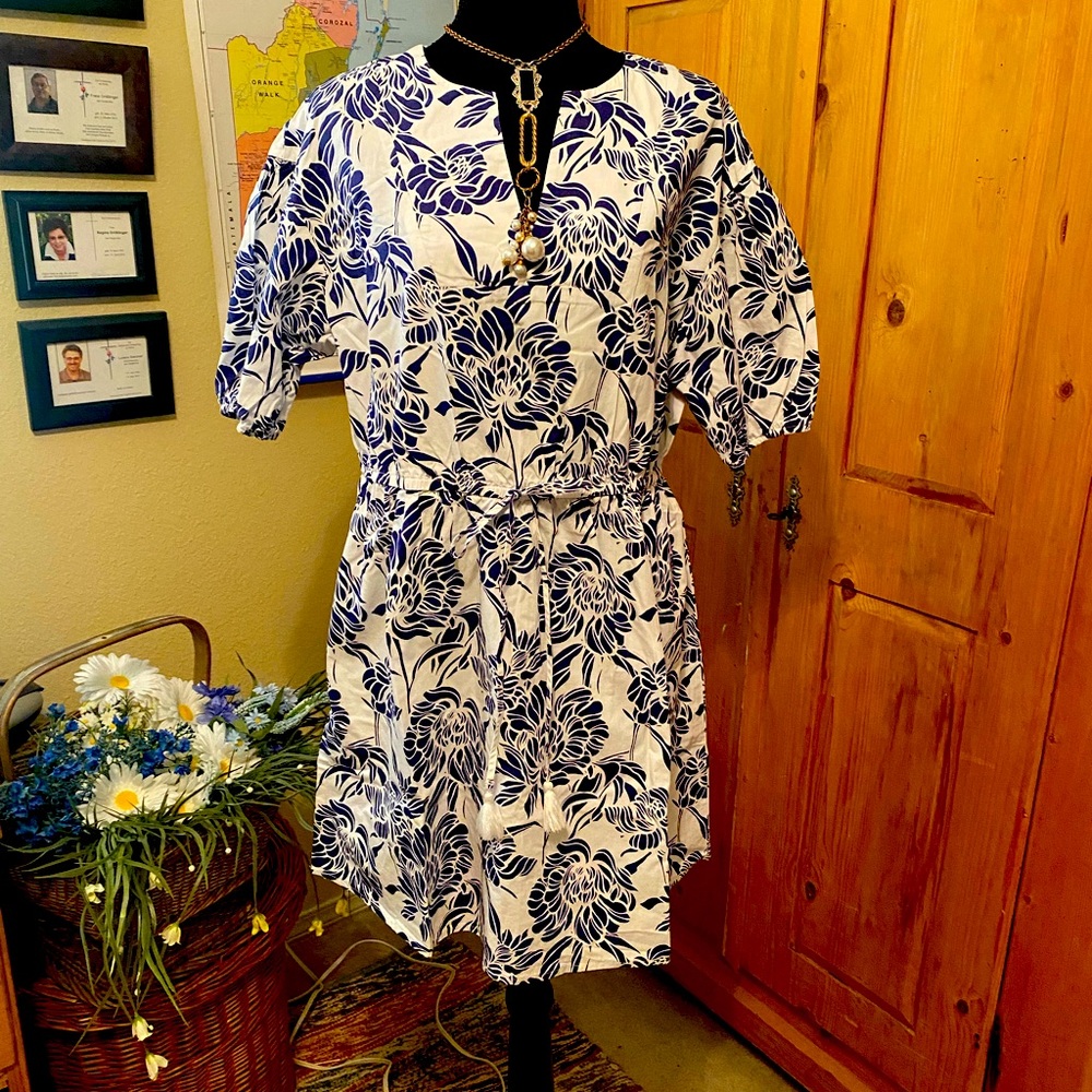 Blue and White Mini Dress with Floral Design